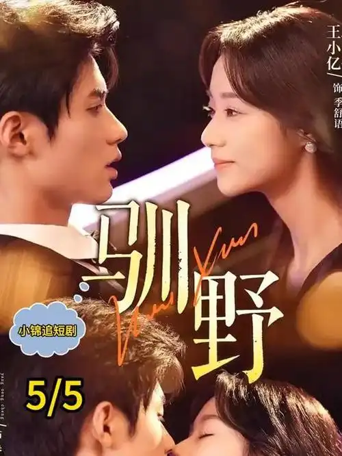 合租第100天 剧集海报